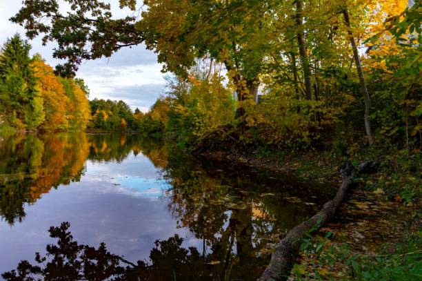 istock Peaceful calm autumn pond with colorful reflection 1055420140