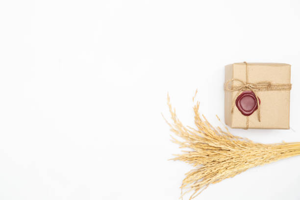 istock Gift box in vintage brown color on isolated white background. 1055420966