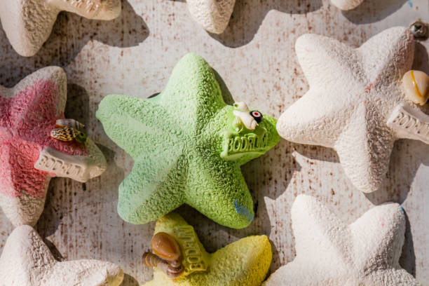 istock Colorful Fridge Magnets with Starfish Shape and Bodrum Labels 1055421572
