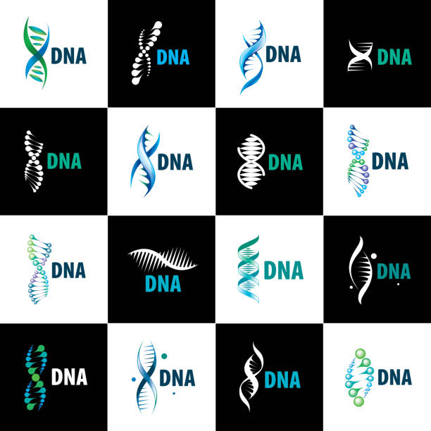 Sign in the shape of a spiral DNA. Vector illustration. Sign in the shape of a spiral DNA. Vector illustration chromosome science genetic research biotechnology stock illustrations