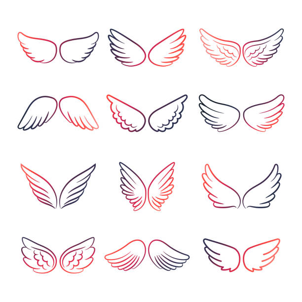 stockillustraties, clipart, cartoons en iconen met kleurrijke vleugels lijn set - engel