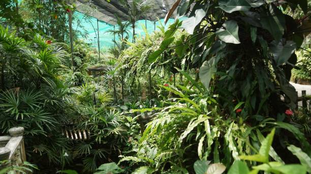 istock Beautiful KL Butterfly Park 1055428098