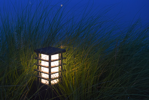 LED Lighting in Grass, LED Solar Lawn Light , Night lamp , Solar Garden Lights