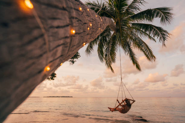 jeune adulte femme reposante sur une balançoire dans un paradis tropical - maldives photos et images de collection