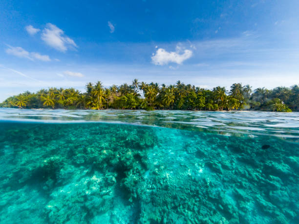 istock Paradisiac beach at Maldives 1055429972