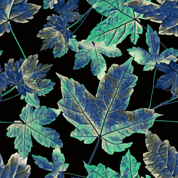 ilustraciones, imágenes clip art, dibujos animados e iconos de stock de de patrones sin fisuras las hojas de otoño - japanese maple leaf autumn abstract