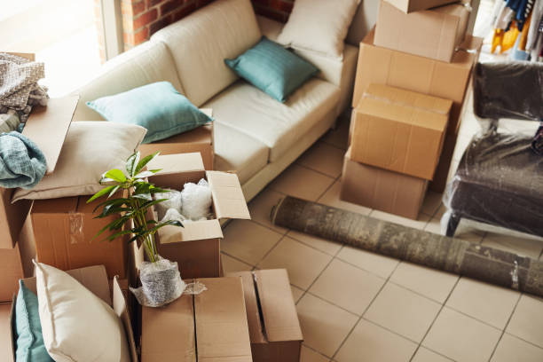 istock Settling in to a new nest 1055430164