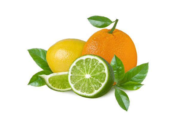 istock Citrus fruit with green leaves isolated on white background as packing design element. Lemon, orange and lime with slices 1055430274