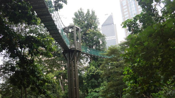 istock KL Eco Forest and its canopy walkway 1055432422