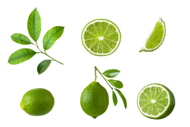 juego de fruta de limón, rodajas de limón verde y hoja aislada sobre fondo blanco. - limones verdes fotografías e imágenes de stock