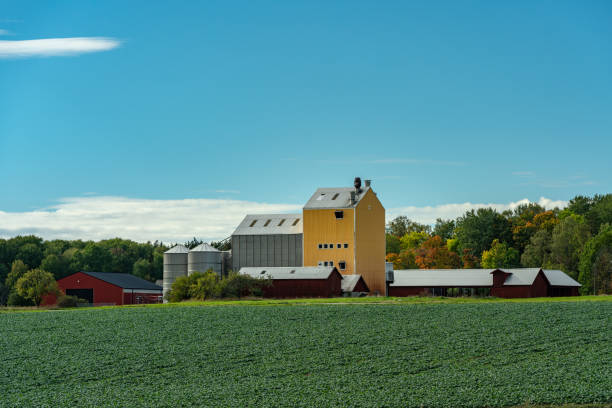 istock Typical Swedish farm in autumn colors 1055432830