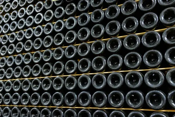 Collection of wine bottles stored in the cellars of the old winery
