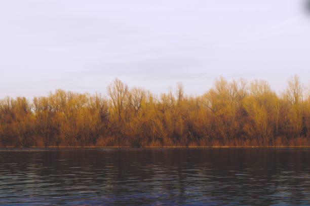 istock Cold autumn day on the river 1055440422