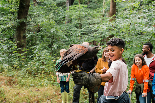 Teenage school boy standing with his classmates outdoors. They are on a field trip to a falconry where the teenage boy is excited while experiencing a Harris hawk flying onto his hand.