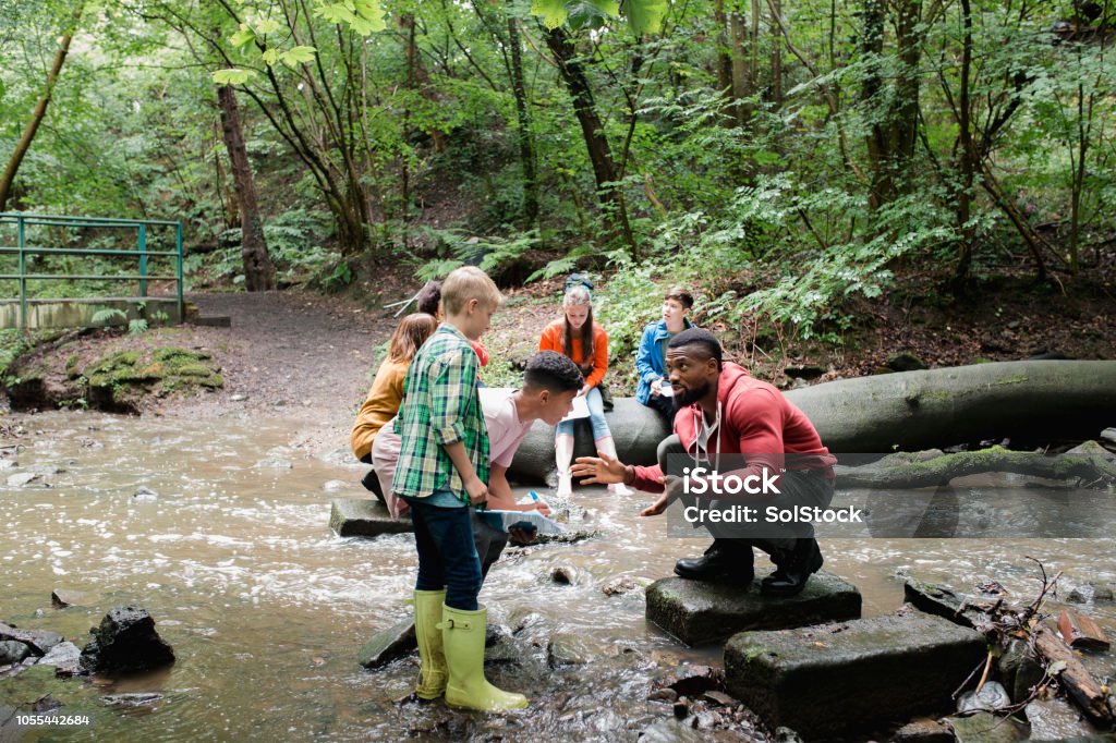 Searching the River for Wildlife Group of school children on a field trip. They are standing in a river looking for wildlife while listening to their teacher. Child Stock Photo
