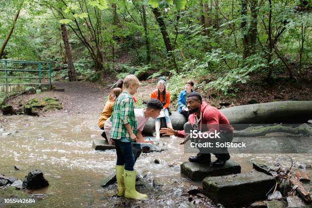 Searching The River For Wildlife Stock Photo - Download Image Now - Child, Outdoors, Education