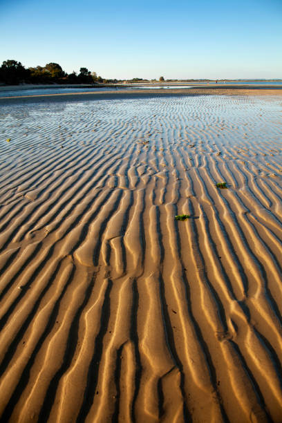 istock Undulations in sand on Studland beach at low tide, Dorset 1055445584