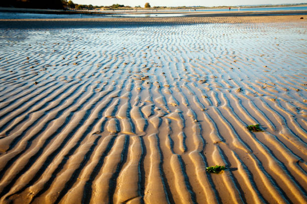 istock Undulations in sand on Studland beach at low tide, Dorset 1055445612