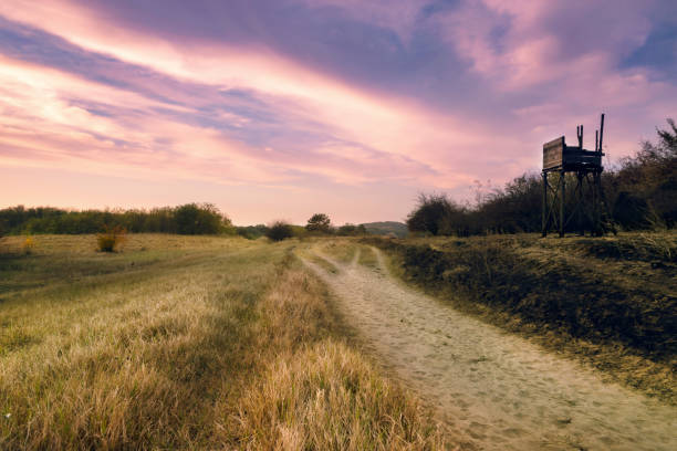istock Lonely road in meadow sunset 1055445906