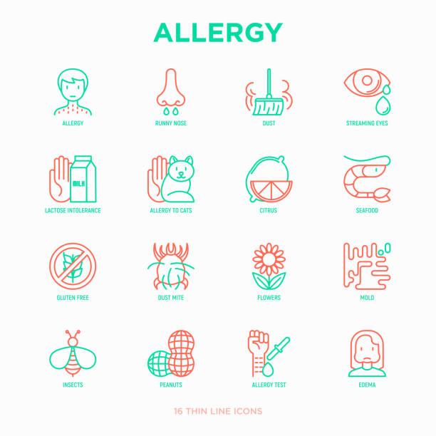 알레르기 얇은 라인 아이콘 세트: 콧 물, 먼지, 눈, 유 당 편협, 감귤 류, 해산물, 글루텐 무료, 먼지 진드기, 꽃, 금형, 땅콩, 알레르기 테스트, 부 종 스트��리밍. 현대 벡터 일러스트입니다. - peanut allergy food fruit stock illustrations