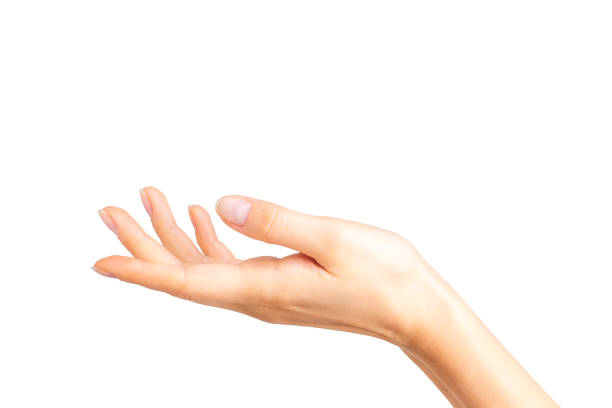 istock Woman showing open hand or holding something 1055452066
