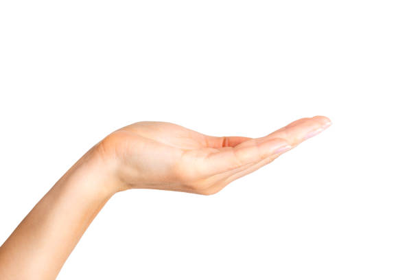 istock Woman showing open hand or holding something 1055452340
