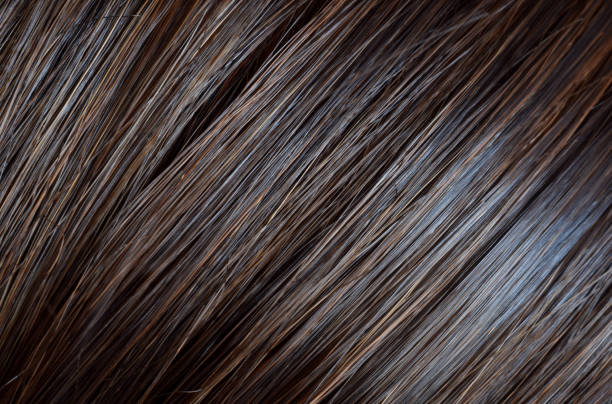 istock Brown female hair 1055460808
