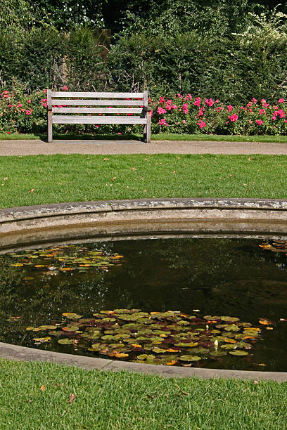 Pond In Park stock photo