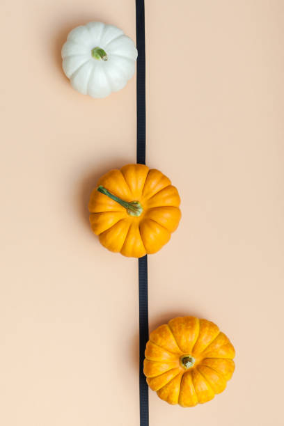 Fall background with small pumpkins