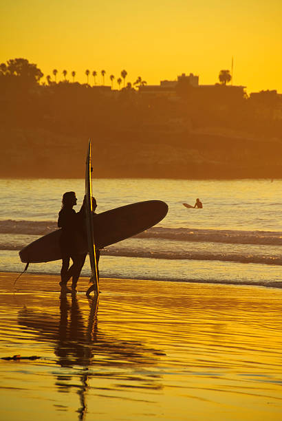 istock Surfers on a beach in La Jolla 105547358