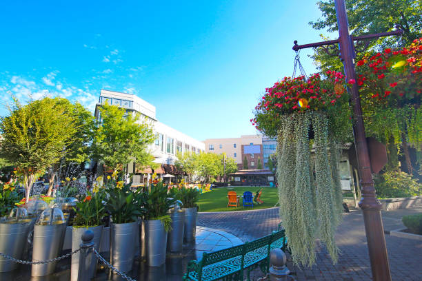 overland park kansas - townhouse apartment midwest usa house foto e immagini stock