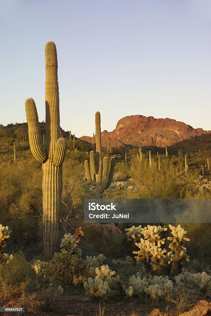 Vulture Mountains  Arizona Stock Photo