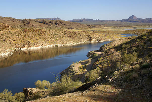 Alamo lake stock photo