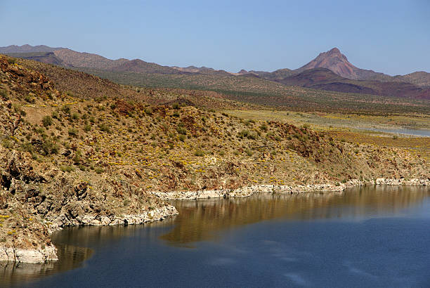 Alamo lake view stock photo