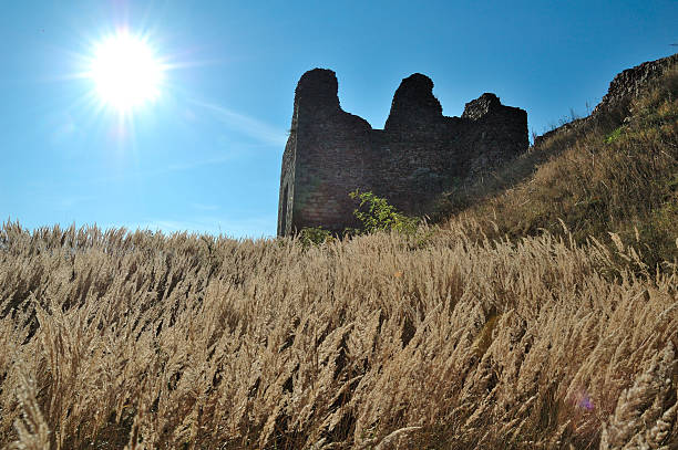 istock Keep of the Czech castle ruin with sun 105547758