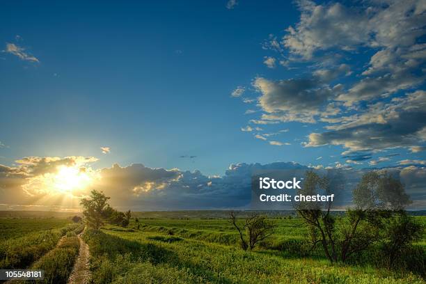 A Caminho Sol - Fotografias de stock e mais imagens de Acima - Acima, Amanhecer, Amarelo