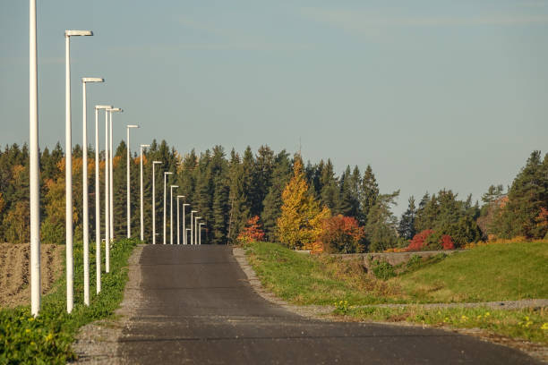 An empty paved parking lot with white markings in the foreground. In the background is a row of trees with bright yellow autumn foliage bordering the street.