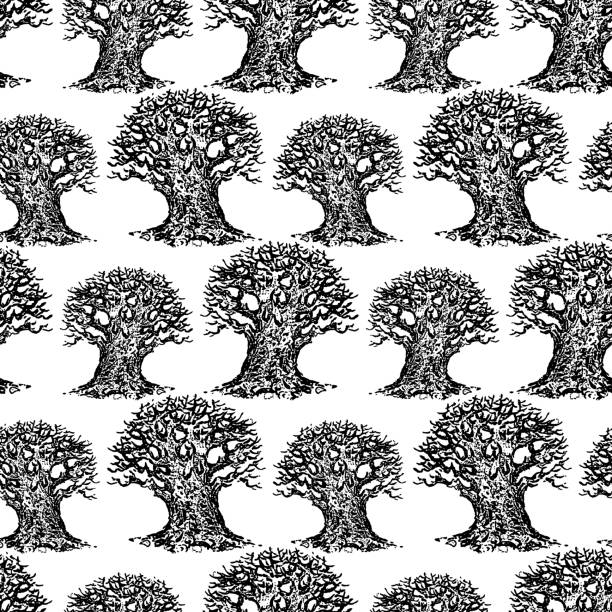 Vector pattern of sketches of old oak trees Seamless background of cartoon drawn trees. old oak tree stock illustrations