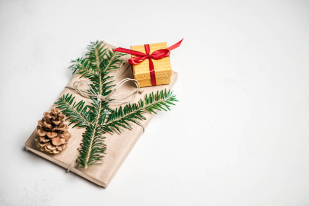 istock Gift wrapped in natural paper and decorated with tree brunch on white background. 1055485668