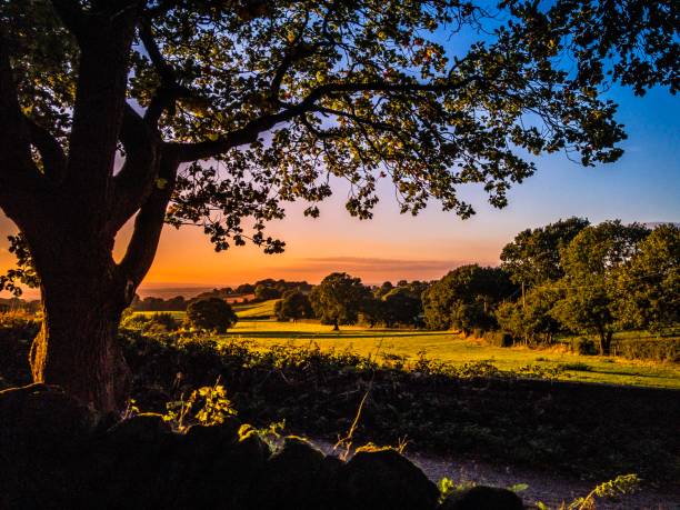 burwardsley tramonto vista rurale chester cheshire - cheshire foto e immagini stock