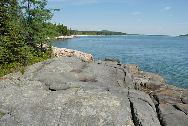 istock Granite shoreline along Petit Manan Point in Maine 105549413