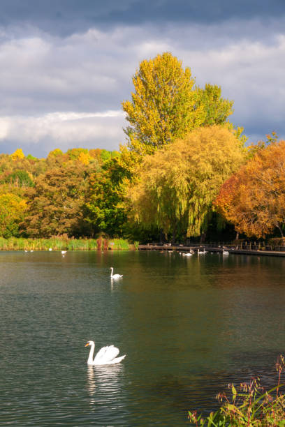 istock Wetlands Nature Reserve - Autumn Colours 1055496018