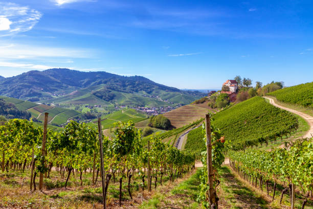 istock View on Castle Staufenberg, Durbach, Germany 1055505812