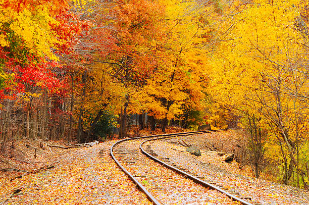 Autumn railroad stock photo