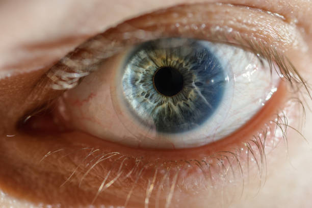 istock Blue man eye with contact lens. 1055519980