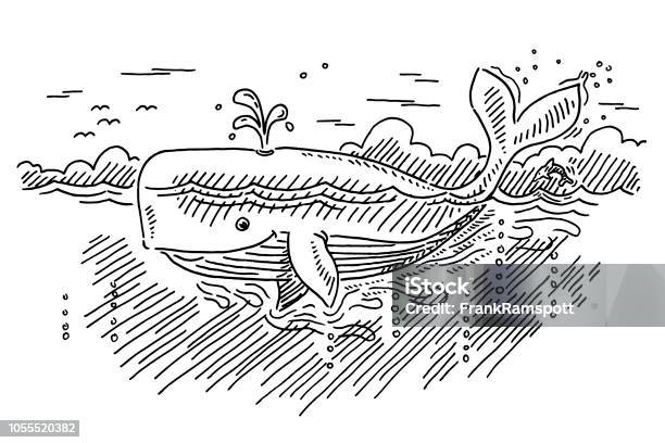 Cartoon Whale In The Ocean Drawing Stock Illustration - Download Image Now - Animal, Whale, Seascape