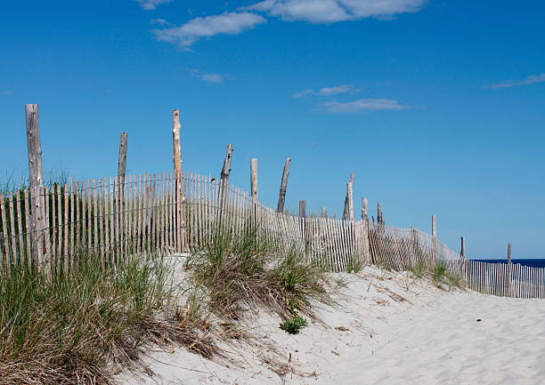 istock Sand dune with fence, beach grass and ocean 105552046