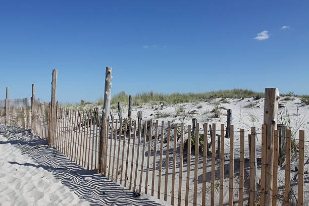 istock Sand dune with fence and beach grass 105552067