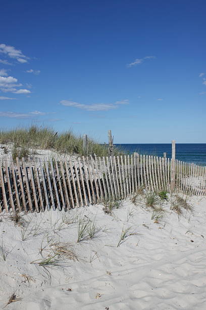 istock Sand dune with fence, beach grass and ocean 105552110