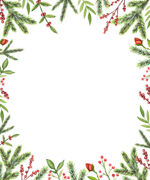 Watercolor rectangular frame with Christmas compositions Rectangular frame with Christmas branches, berries, roses and twigs isolated on white background. Watercolor hand drawn illustration rose christmas red white stock illustrations